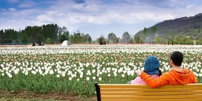 Golden Triangle with Kashmir: Forts, Palaces & Valleys - Delhi-Agra-Fatehpur Sikri Tours-Jaipur-Srinagar-Gulmarg-Pahalgam Tour Package | Arivo Holidayss