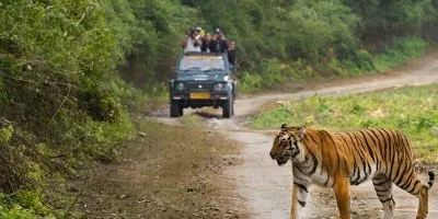 Jim Corbett Wildlife Tour from Delhi - Delhi-Jim Corbett National Park-Delhi Tour Package | Arivo Holidayss