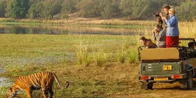 Golden Triangle Tour with Ranthambore Tiger Safari - Delhi-Agra-Ranthambore-Jaipur-Delhi Tour Package | Arivo Holidayss