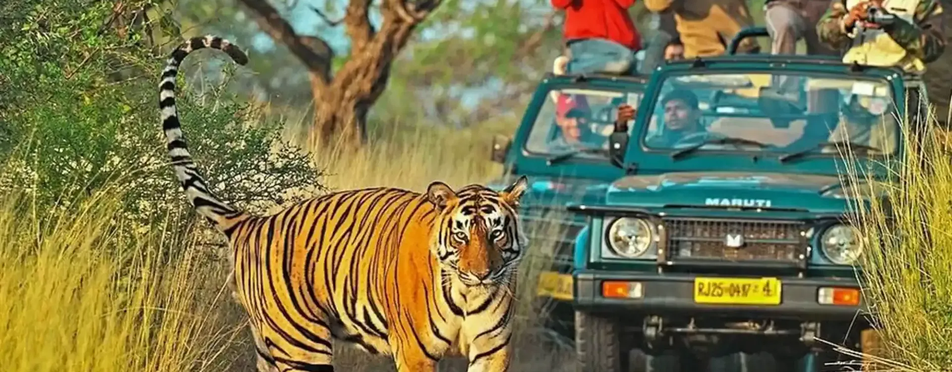 Ranthambore
