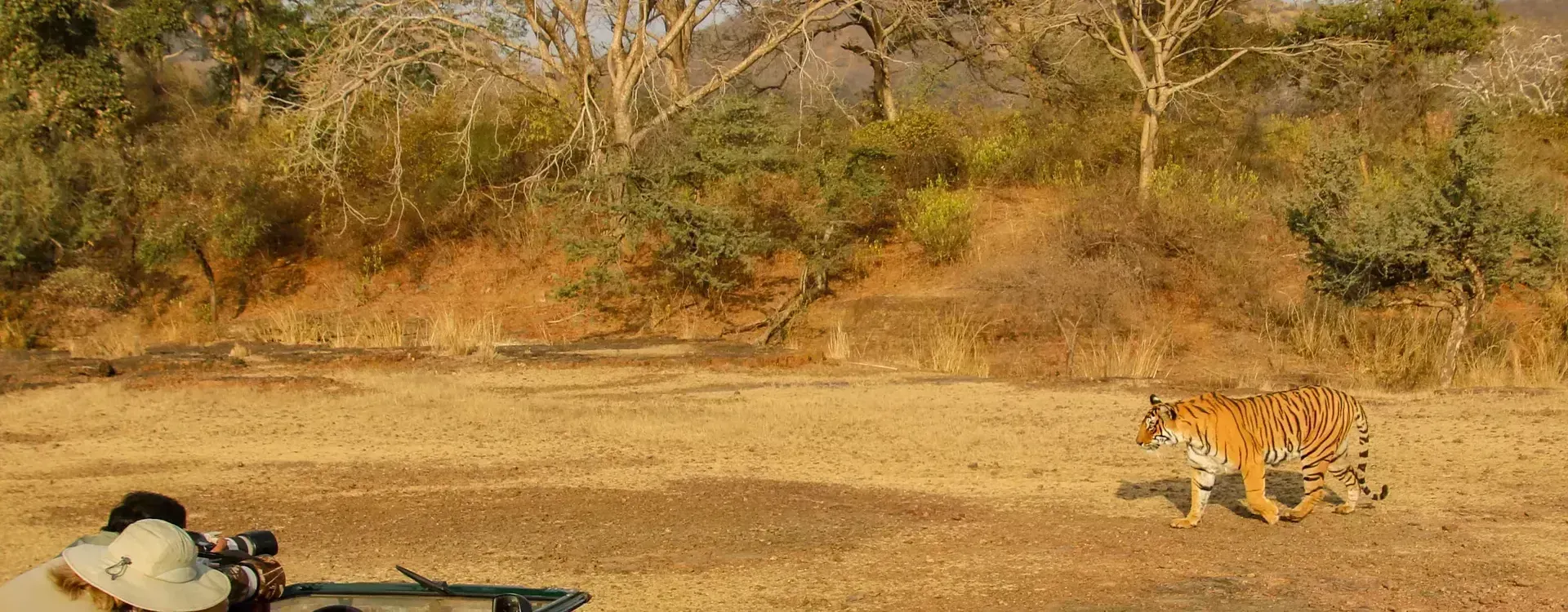 Ranthambore