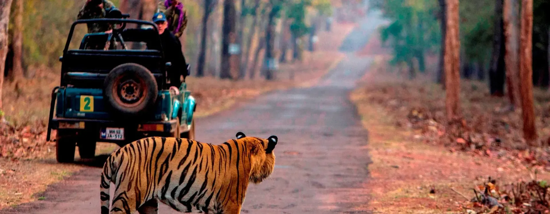 Ranthambore