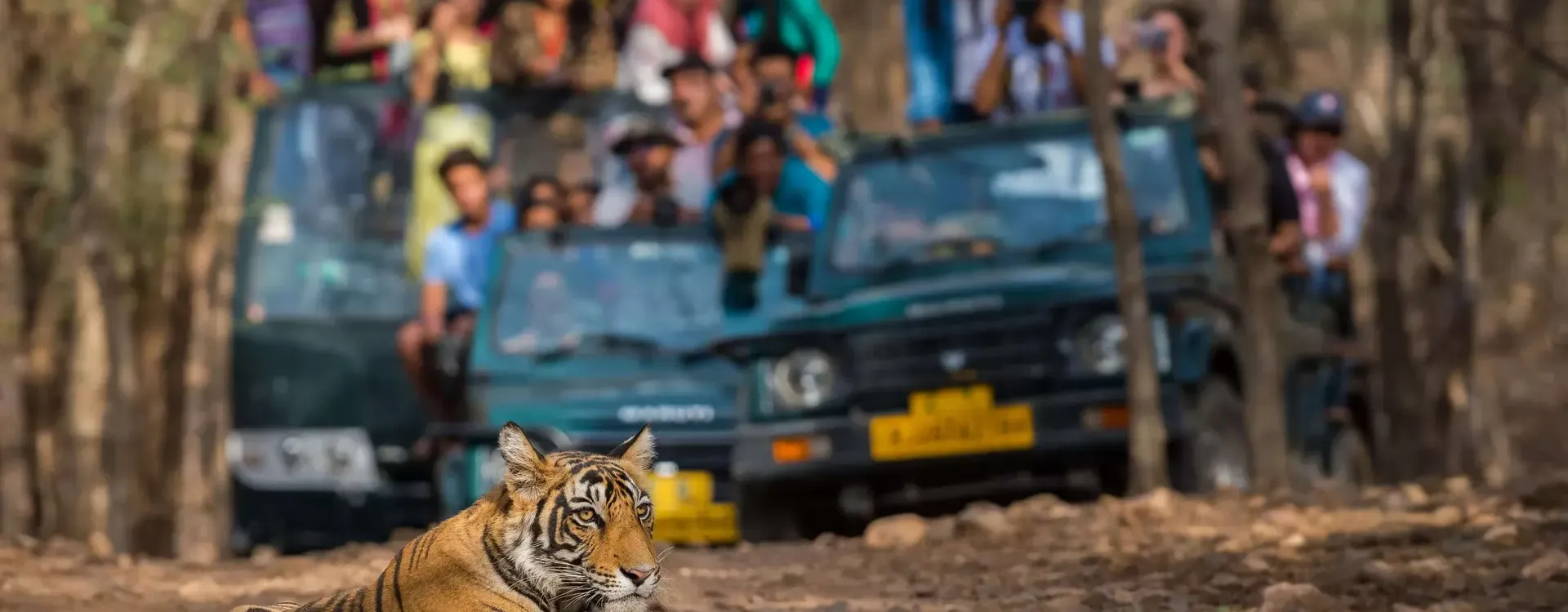 Ranthambore