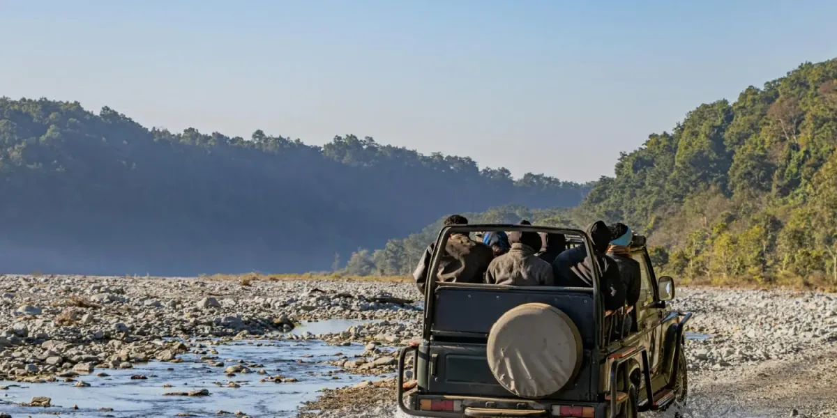 Jim Corbett National Park Tour Packages & Sightseeing | Arivo Holidayss